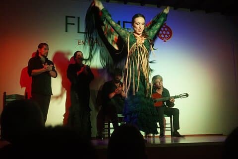 Flamenco ritmeles met wijn en tapas