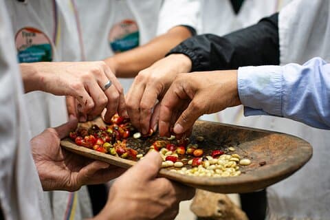 Medellin : Horseback Riding and Coffee Tour with Interactive Experience
