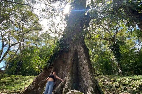 Lacandon Jungle And Bonampak Ruins