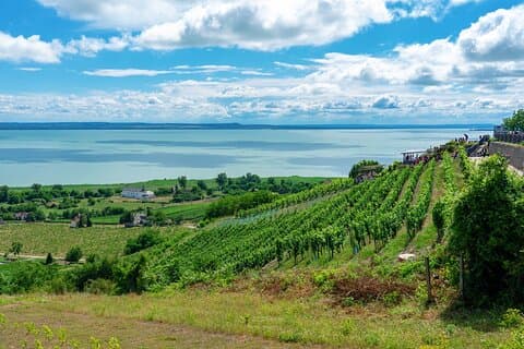 Ganztägige private Weintour am Plattensee ab Budapest