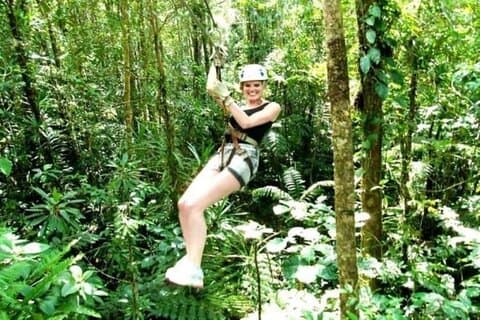 Treetops Fiji Zipline Tour with Drop off Transfer to Nadi Airport