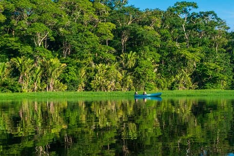 Tortuguero : tour en canoë, randonnée d'une journée, tour de colline, tour de nuit ou frai