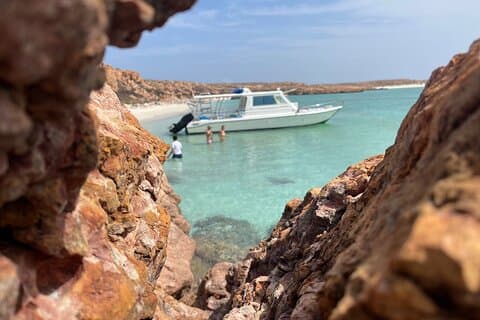 Snorkelturer till Daymaniat Island