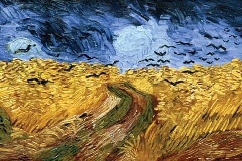 Van Gogh Museum Amsterdam Small-Group Tour (incl Entry Tickets)