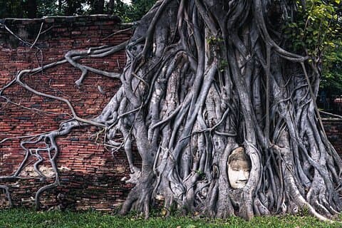 Excursão turística em Ayutthaya com famoso templo e mercado flutuante