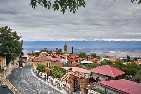 Tour privato del vino di Kakheti di un'intera giornata da Tbilisi