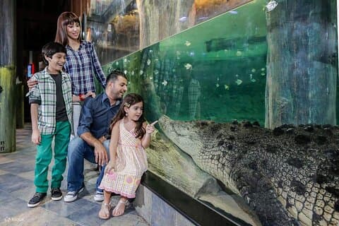 Ultimate Duo of Dubai House of Hype Dubai Aquarium Access Pass
