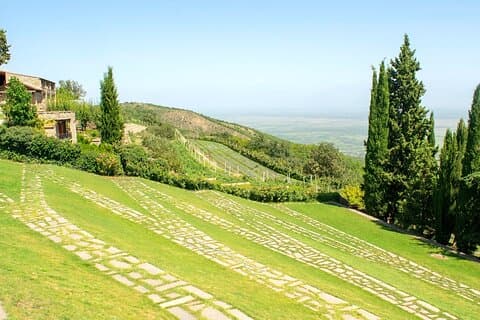 Full Day Private Mtskheta Region Wine Tour from Tbilisi