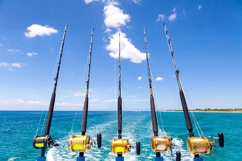 Tour privato di pesca al tramonto di mezza giornata a Maafushi con cena barbecue