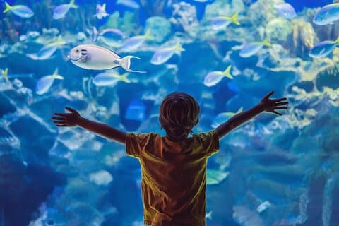 Private Tour Cebu Ocean Park
