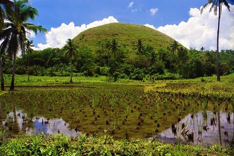 Privat rundtur Bohol Chocolate Hills Loboc River Cruise