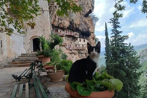 Excursion d'une journée dans les villages de montagne du Péloponnèse, des monastères et du fleuve Lousios