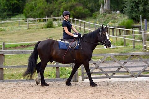 Horseback Riding Experience in Side