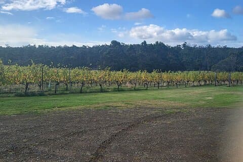 Einzigartige Weintour – Hobart und Südost-Tasmanien