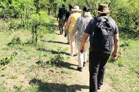 Safari a piedi privato di White Rhino