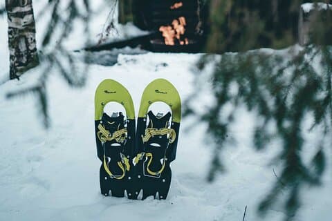 Rovaniemi: Snöskovandring i Instagrammable skog med grill