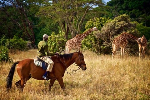 Private Day Trip to Lake Duluti – Paddle and Ride in Nature