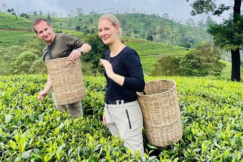 NuwaraEliya Theefabriek, Plantage & Watervallen Wandeltocht met de auto