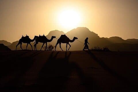 Elite Transfers : Queen Alia Airport to Any Destination in Jordan