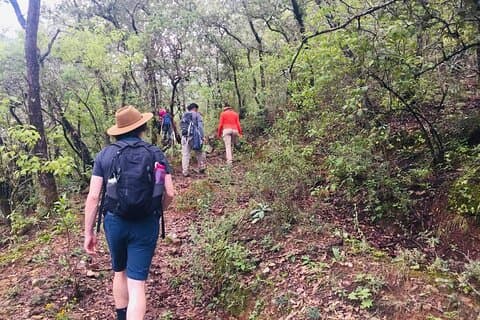 Sierra Norte 1 Day Guided Hiking