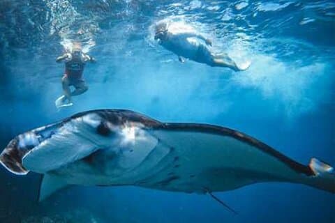 Bali Nusa Penida 4 puntos de buceo y tour por la Isla Oeste