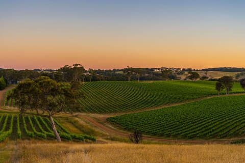 "Adelaide Hills Escape: Vin, landskab og charme"
