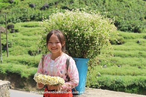 6 - 8 Day Vietnam Itinerary | Magnificent | Best 2026 Northern