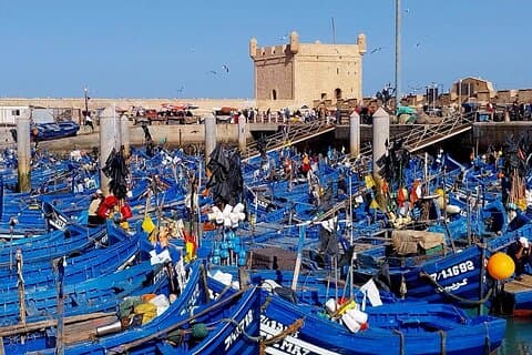 Private Day Tour naar Essaouira vanuit Marrakech