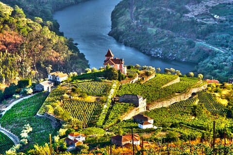 Douro Valley Private Tour med vinsmaking fra Porto