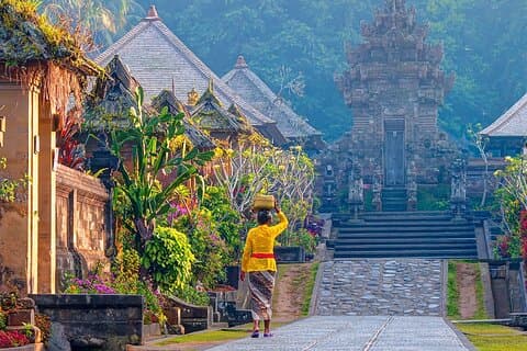 バリ島のプライベート カスタム旅行 (ランチ付き)
