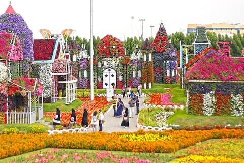 Bekijk de palm met Miracle Garden Bezoek privétour