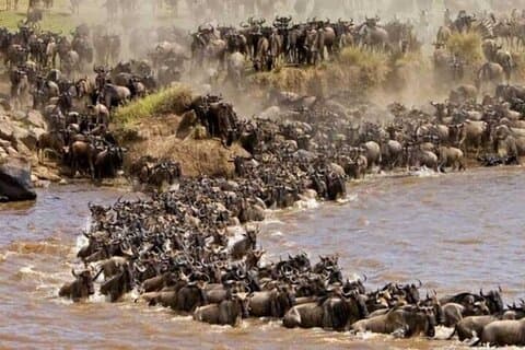 12 Days Kenya and Tanzania Tour