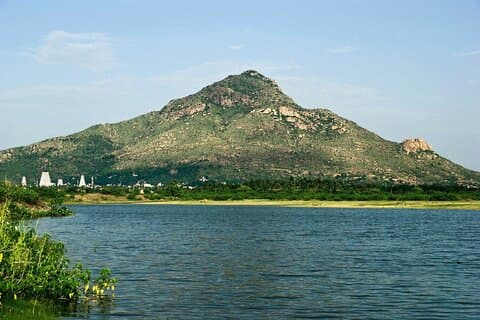 Visite du temple Sri Arunachaleswara depuis Pondichéry