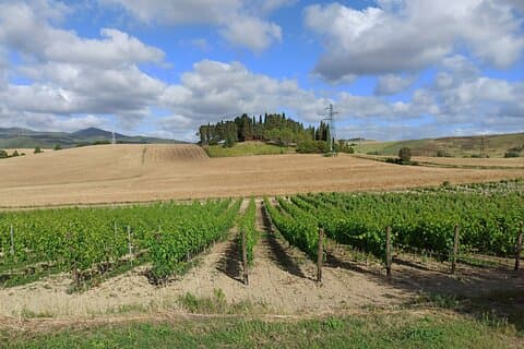 Florence–Siena luksus transfer via Chianti Wine Country