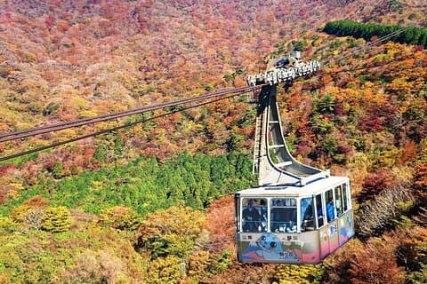 De Tokyo à Hakone : Billets de train et Pass gratuit Hakone