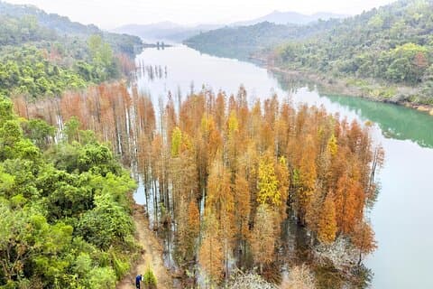 Full Day Private Tour in Zhongshan