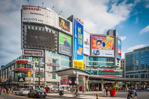 Visite privée romantique de Toronto : des places animées aux parcs sereins