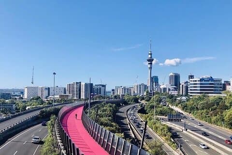 Private Driver From Auckland For 4 Days - Flexible Custom Tour
