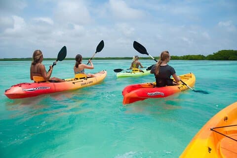 Tour privato Avventura in kayak tra le mangrovie dell'isola viola in Qatar