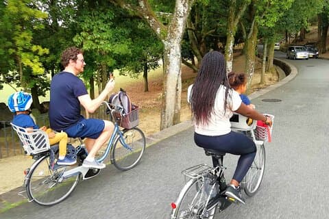 Private Nara E-bike - Family Tour with Lunch