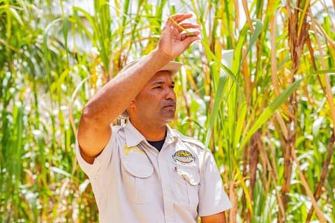 Excursão de meio dia pelo campo dominicano