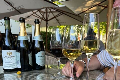 Privéwijntour van een hele dag: Stellenbosch en Franschhoek & Paarl