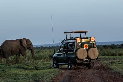 Safari de 4 jours de Mombasa à Amboseli et Tsavo Ouest et Est