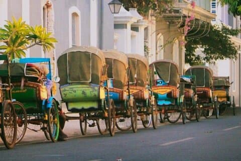 Private 6-tägige exotische Tamilnadu-Tour ab Chennai
