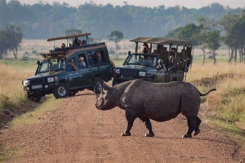Full Day Private Adventure in Tarangire National Park