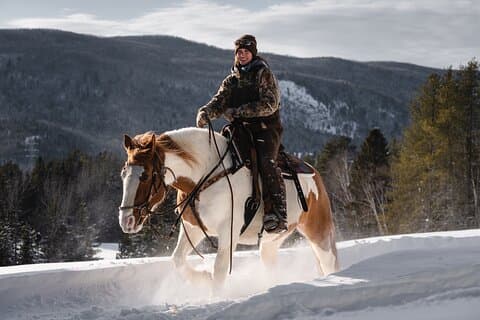 Guided Horse Riding in the Bay of Saint Paul Valley