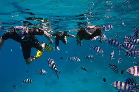 Ontdek de oceaan en snorkel in Tahiti