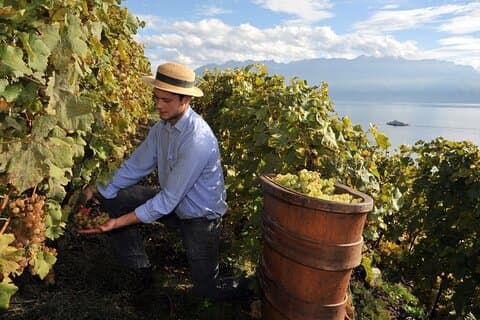 Tour privato della Sicilia autentica di 8 giorni