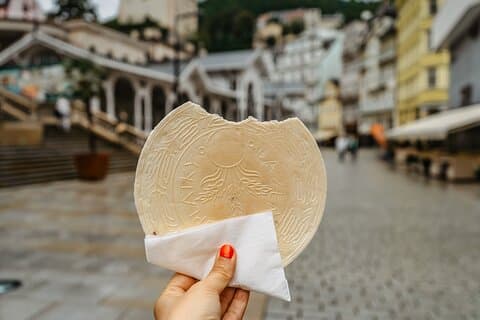 Transfert privé de Prague à Karlovy Vary, chauffeur anglophone