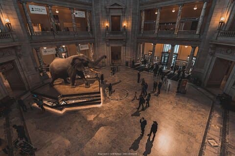 スミソニアン博物館プライベートツアー： American & Natural History